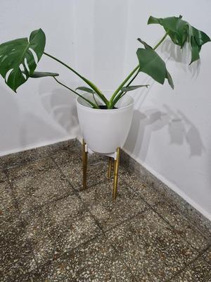 Minimalist tripod planter