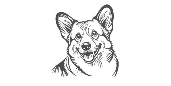 Corgi