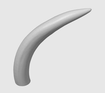 Elephant Tusk
