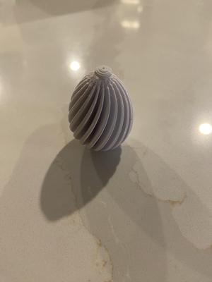 Fidget Egg (It Spins)