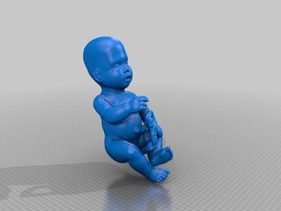 Human foetus
