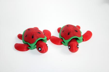 Watermelon Turtle