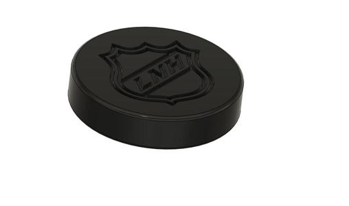 Cat hockey puck