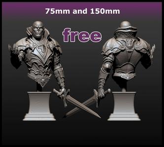 VAMPIRE KNIGHT BUST PACK