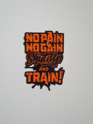 No Pain No Gain Shutup And Train !
