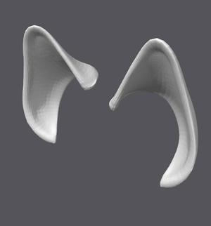 Toon ears for fursuits