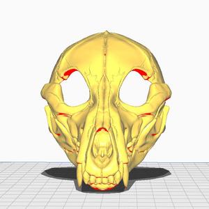 (SALE) fursuit skulldog head base