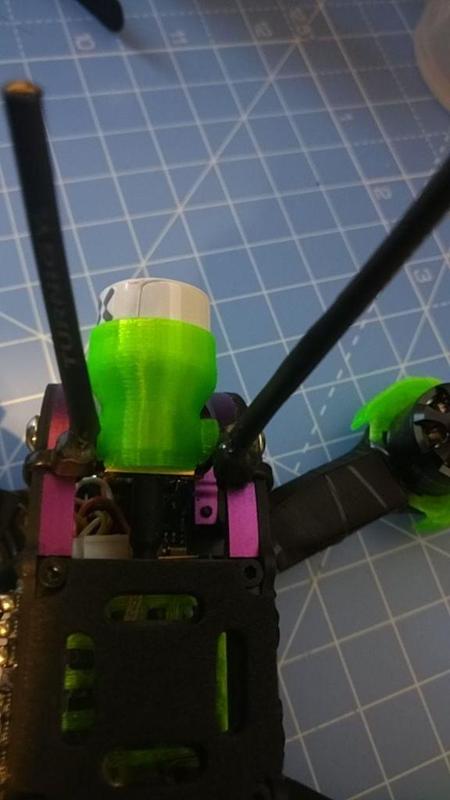 Japalura Foxeer Lillipop 2