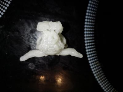 Bullenkopf Bullhead Stier