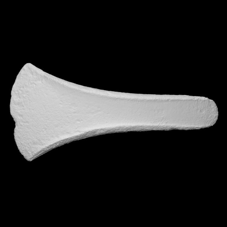 Bronze age axe