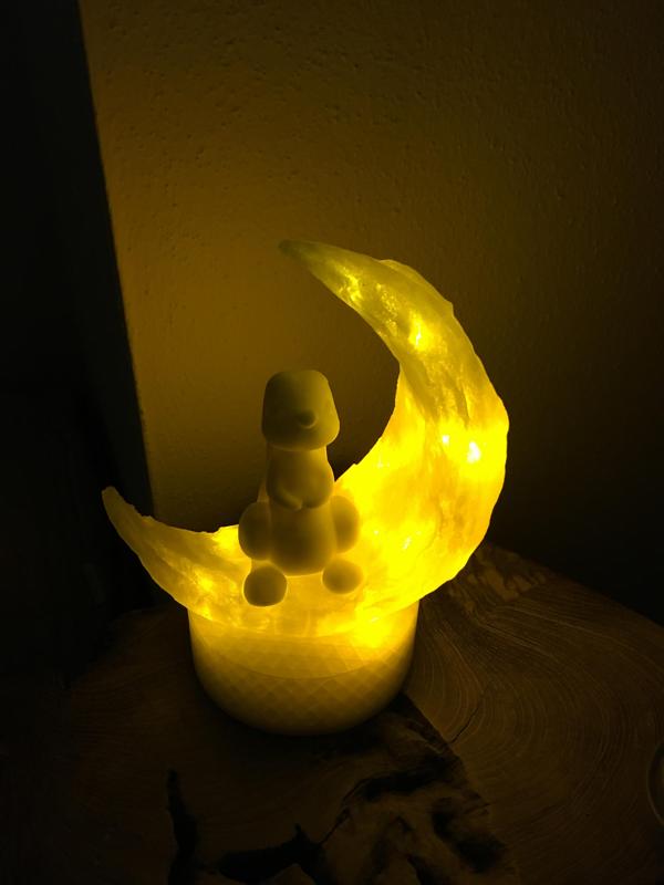Moon bunny as nightlight