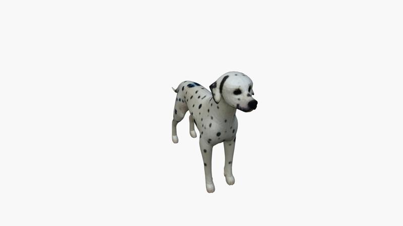 Dalmatian dog