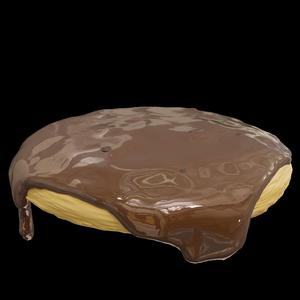 Cookie with Chocolate