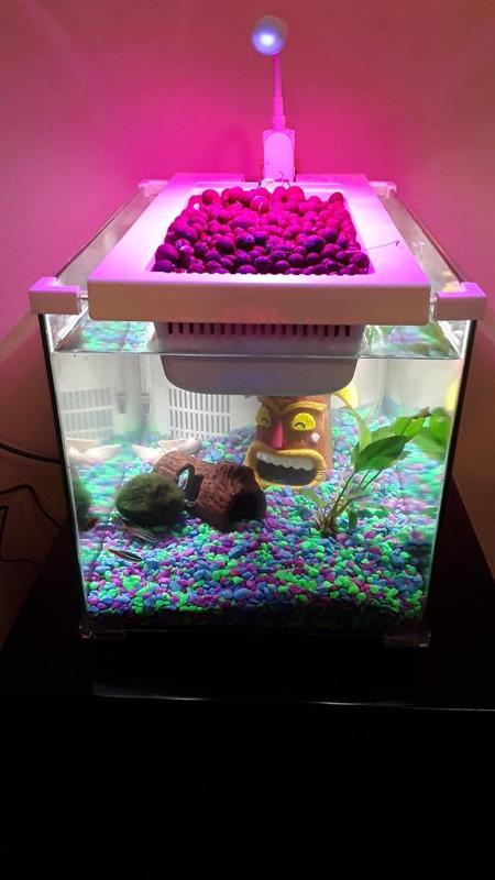 Aquarium Lid Corner Clip