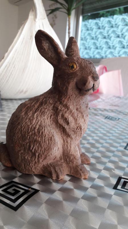 Hase Rabbit Kaninchen