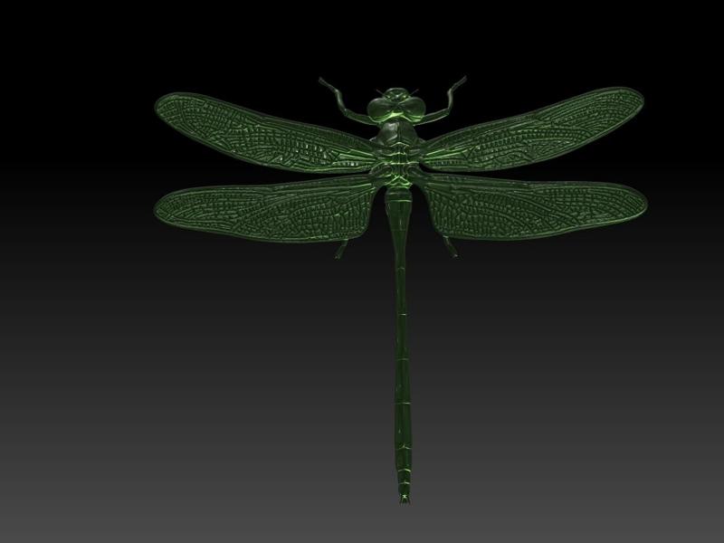 Dragonfly 3D Model
