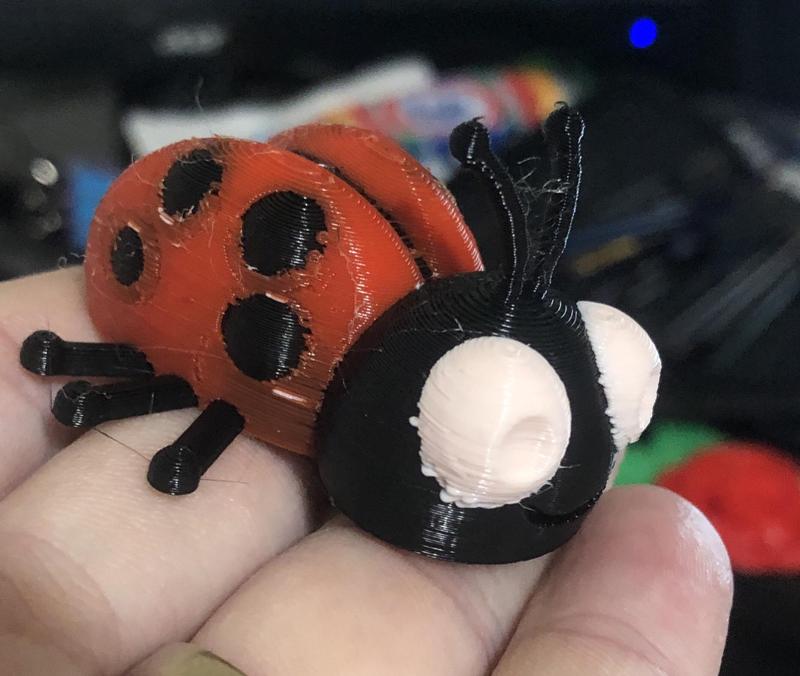 Lady ladybug