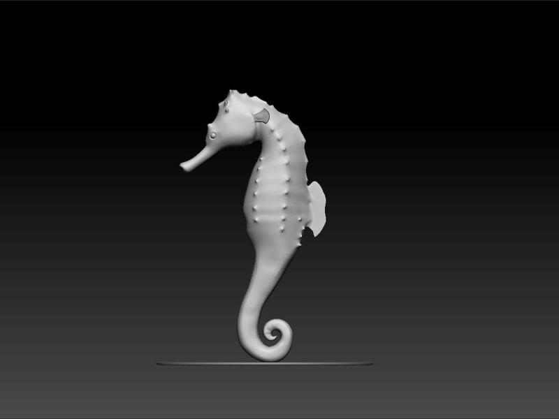 Seahorse