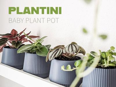 Plantini - baby plant pot 