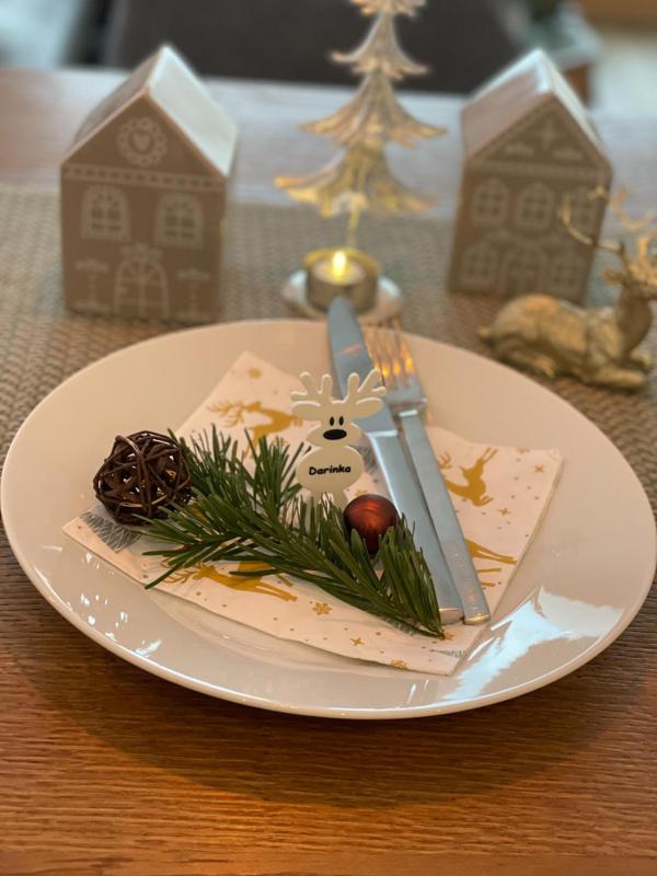 Reindeer, Nametag