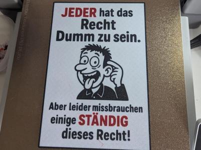 Everyone has the right to be stupid ... Sign