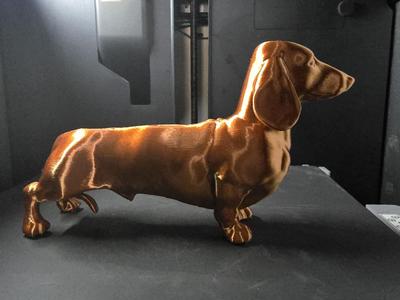 Wiener dachshund doxie sausage dog model