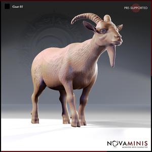 Goat 01