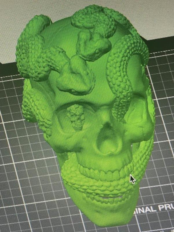 Skulls inside a skull