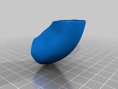 Segmented Model of the Heart