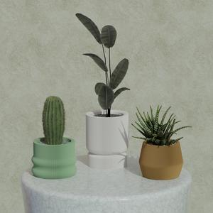 Flower Pots with Stripes