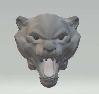 Tiger Head