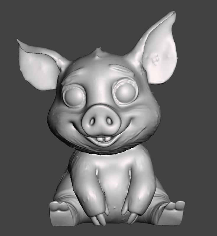 little cute pig
