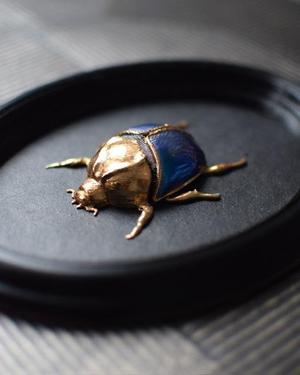 Scarab beetle with frame