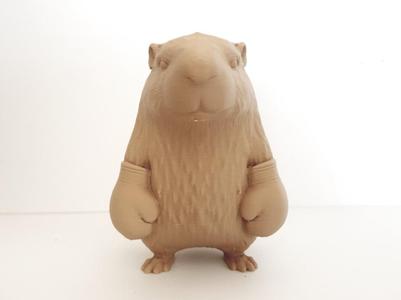 Boxing Capybara
