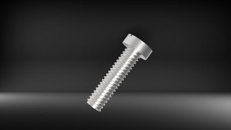 Slotted Head Screw