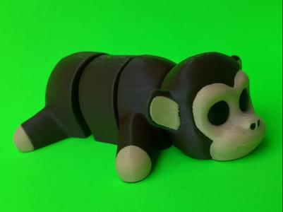 Funny Monkey
