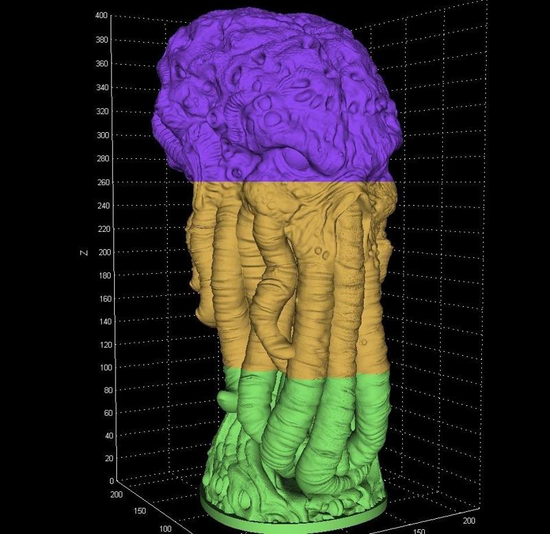 Cthulu head ready to print