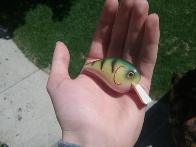 Crankbait Easy Print