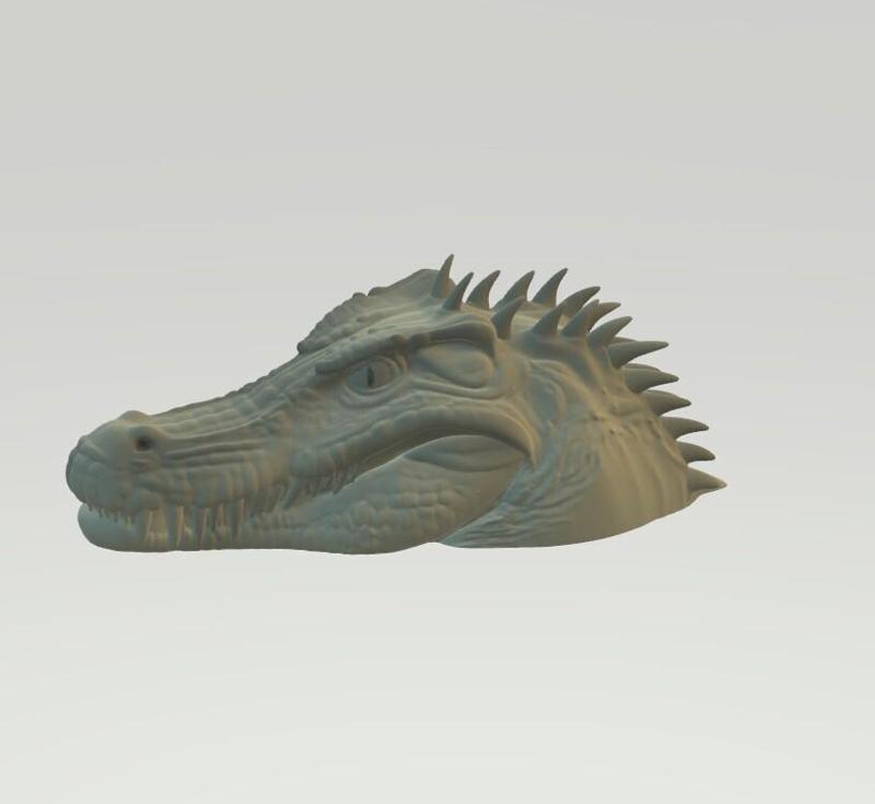CROCODILE HEAD / CABEZA DE COCODRILO / CROCODILE HEAD