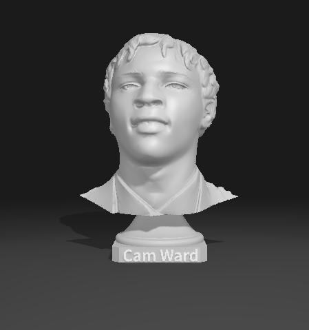 Cam Ward - Premium Statue