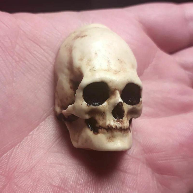 Paracas Skull from Peru (Elongated Skull)