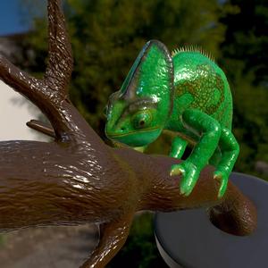 Camaleon Chameleon