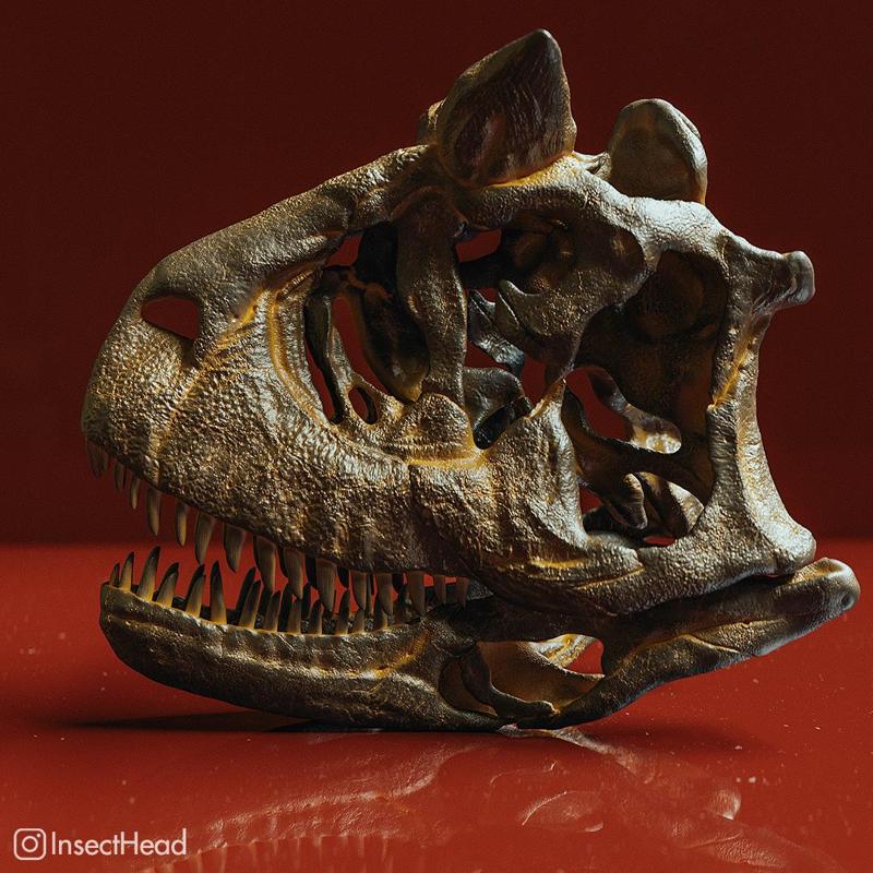 Carnotaurus sastrei skull reconstruction