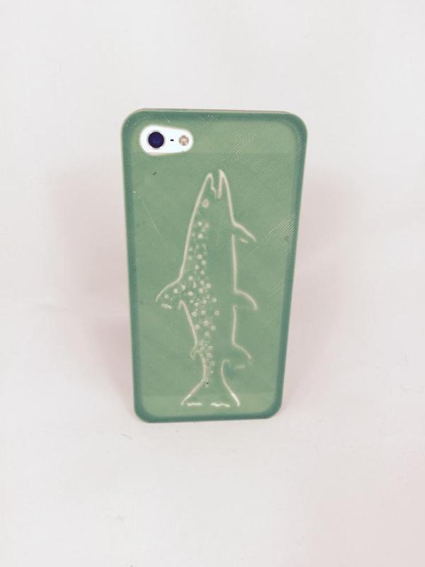 Mountain Brook Trout, iPhone 5/5S Case
