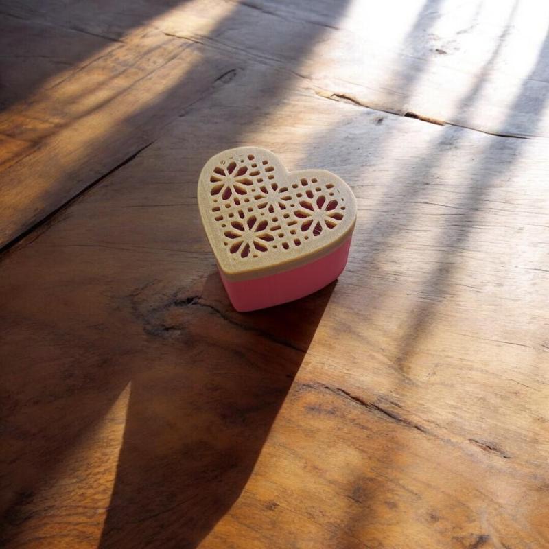 Heart-Shaped Box  004