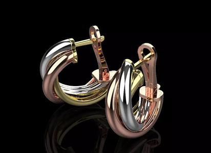 Earrings 70143
