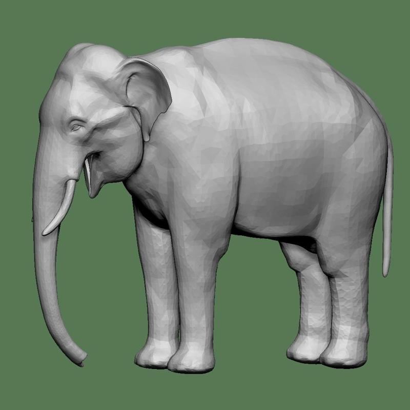 ELEPHANT FOR DIORAMA