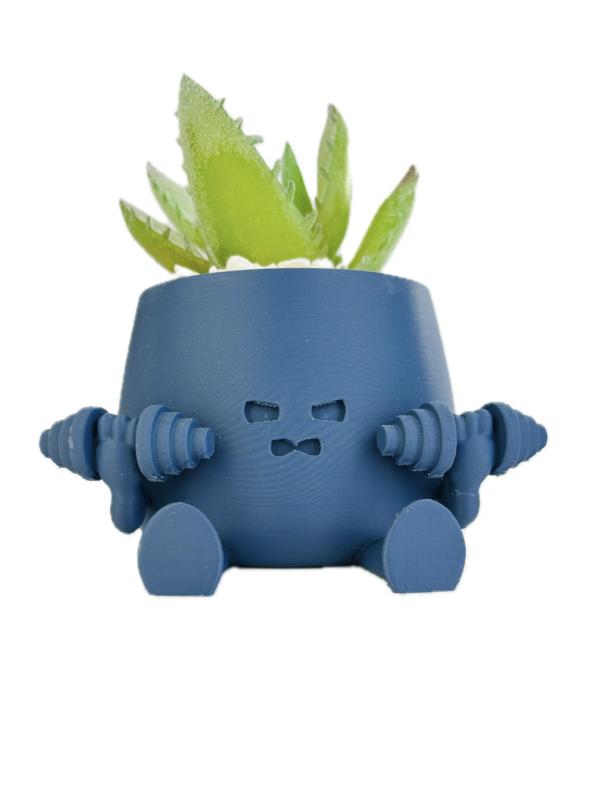 BOBBY PLANTER / GYM RAT PLANTER / SUCCULENT PLANTER / HAPPY FACE PLANTER