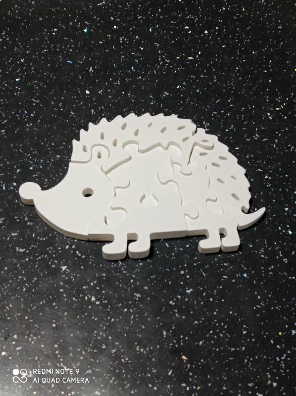 Hedgehog prickly needles