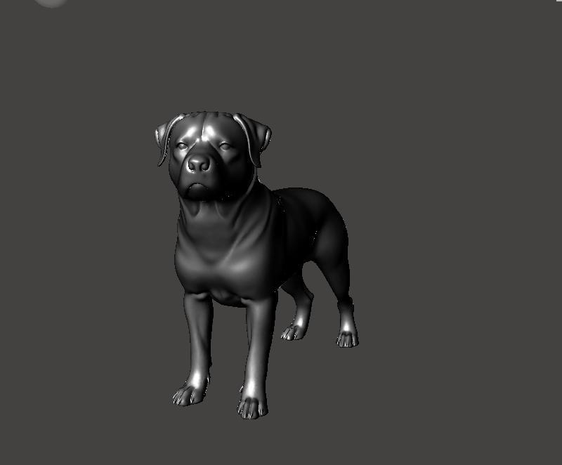 3D Model Rottweiler stading premiun version